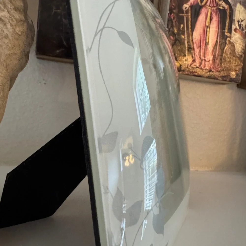 Papyrus Dome‎ Glass White Nature Picture Frame 4